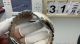 Clean Factory Rolex Datejust 3235 Black Face Watch 40mm 0415 (2)_th.jpg
